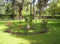 /album/fotos-del-viso/parque-oct-08-018-jpg/
